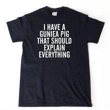 I Have A Guinea Pig That Should Explain Everything T-shirt